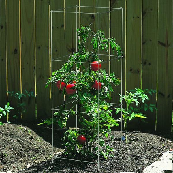 4면 토마토지주대 120cm 5911 넝쿨 스탠드 식물 줄기공구
